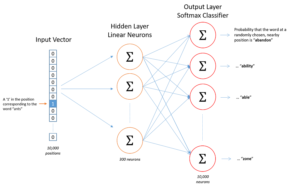 Diagram of the two-layer Word2Vec network