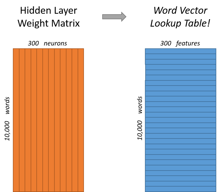 Hidden-layer weight matrix as a lookup table